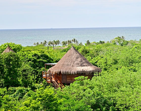 Colombia A Country of Extraordinary Diversity